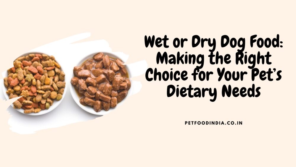 Wet or Dry food