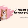7- Reasons to shop for your pets online