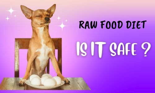 Raw Food for pet